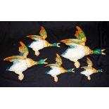 Five graduated Beswick flying duck wall plaques