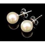 7mm Akoya pearl and 18ct white gold stud