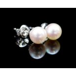6mm Rose' Akoya pearl and 18ct white gold stud