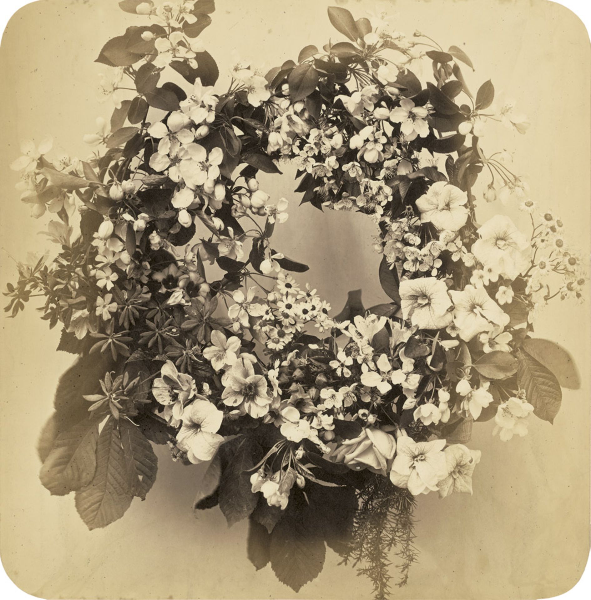 Braun, Adolphe: Flower wreathFlower wreath. 1850s. Varnished albumen print with rounded corners.