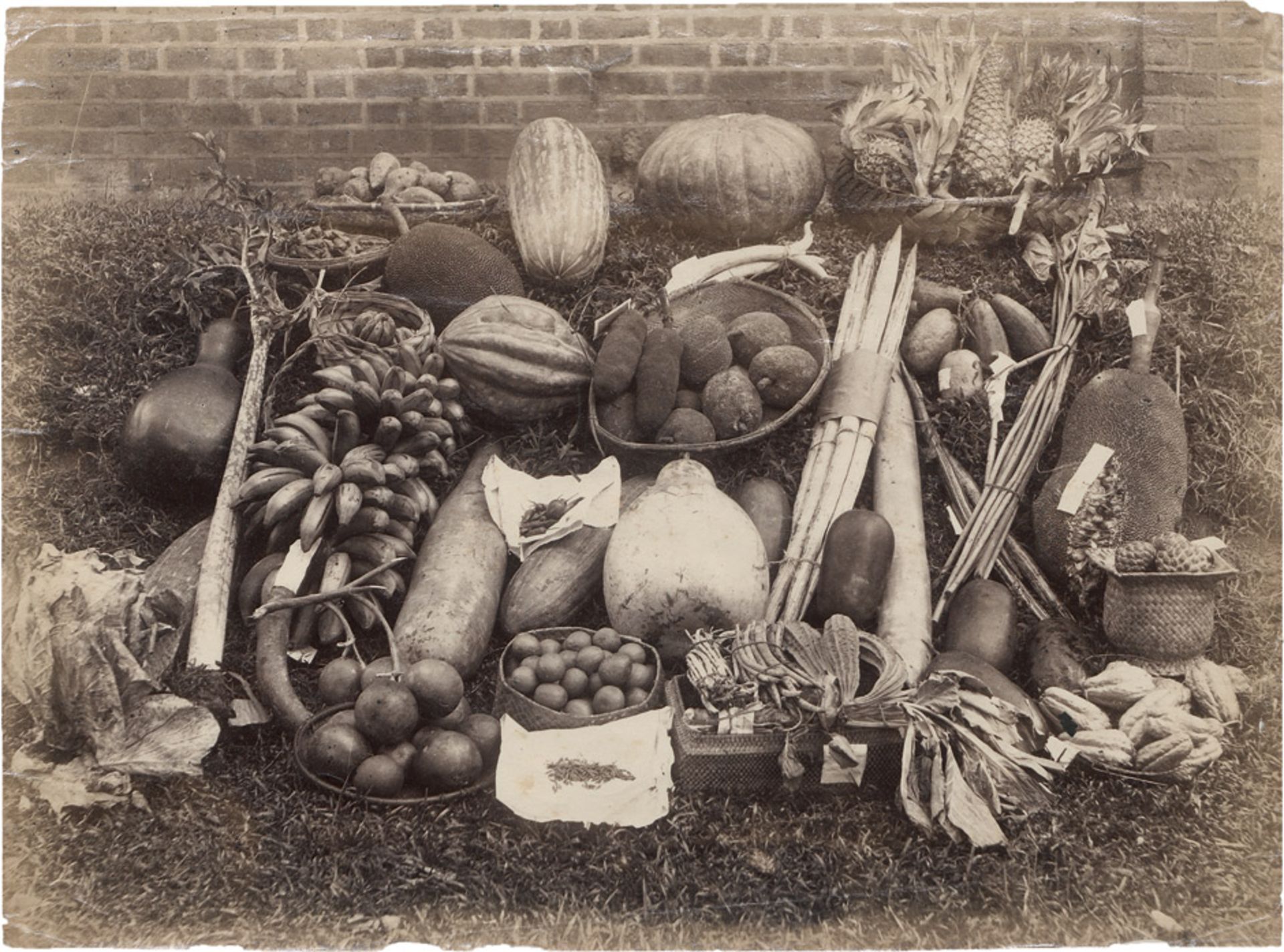 Platé, A.W.A.: Still life with fruitStill life with fruit. 1890s. Albumen print. 18,8 x 25,5 cm.