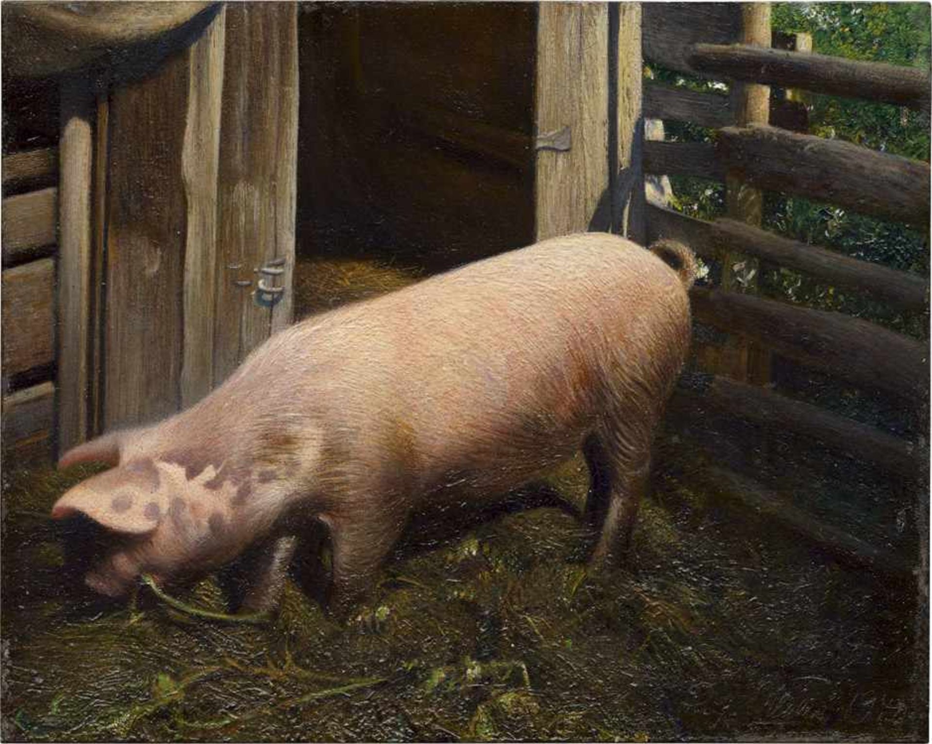 Müller, Richard: Das Schwein