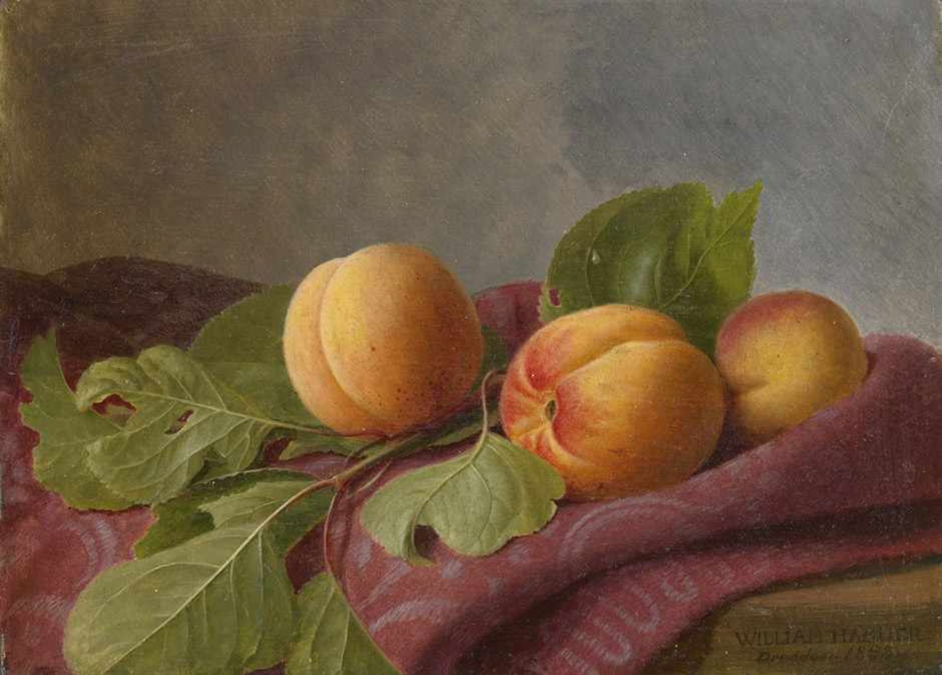 Hammer, William: Stilleben mit Pfirsichen und AprikosenStillleben mit Pfirsichen und Aprikosen. Öl