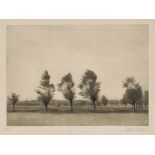 Ilsted, Peter: Landschaft in Falster.Landschaft in Falster. Farbiges Schabkunstblatt, auf