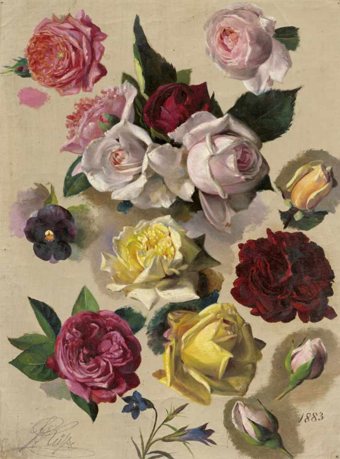 Küss, Ferdinand: Studie mit Rosenblüten, Stiefmütterchen und EnzianStudie mit Rosenblüten,