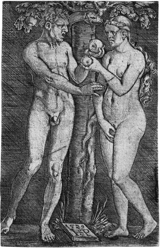 Beham, Hans Sebald: Adam und EvaAdam und Eva. Kupferstich. 7,9 x 5,1 cm. B. 5, Pauli 5, Hollstein