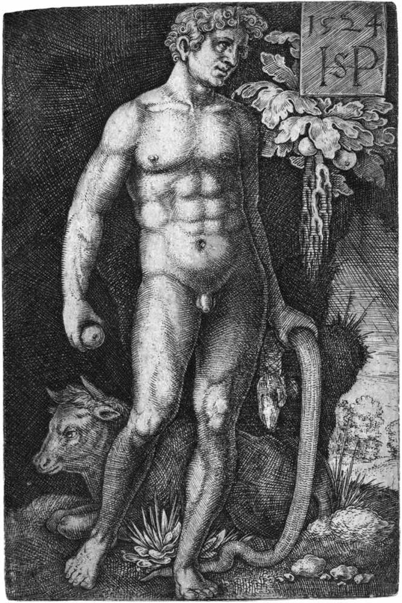 Beham, Hans Sebald: Adam, stehend[^] Adam, stehend. Kupferstich. 7,8 x 5,2 cm. 1524. B. 3, Pauli