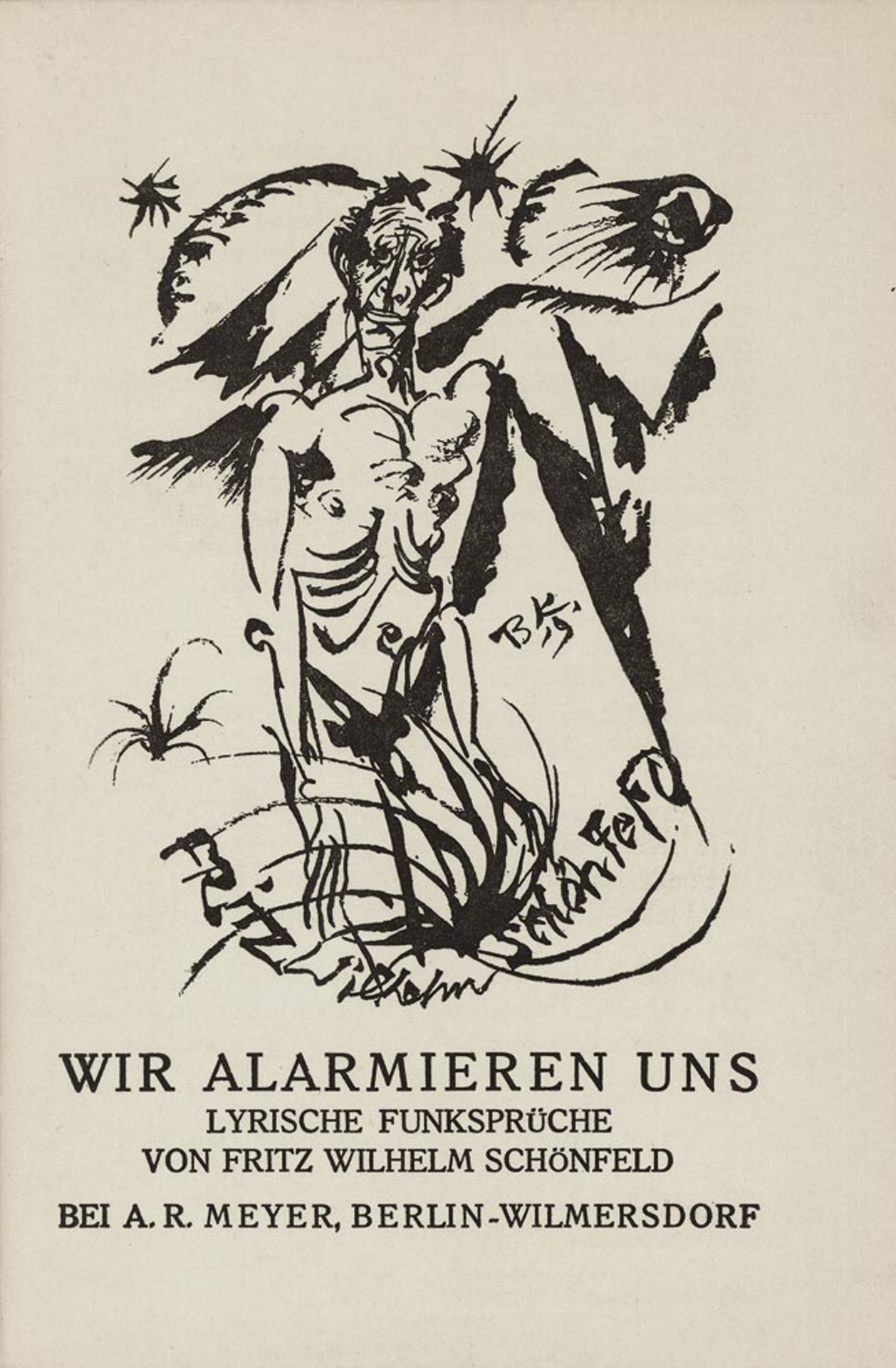 Schönfeld, Fritz Wilhelm und Krauskopf, Bruno - Illustr.: Wir alarmieren uns