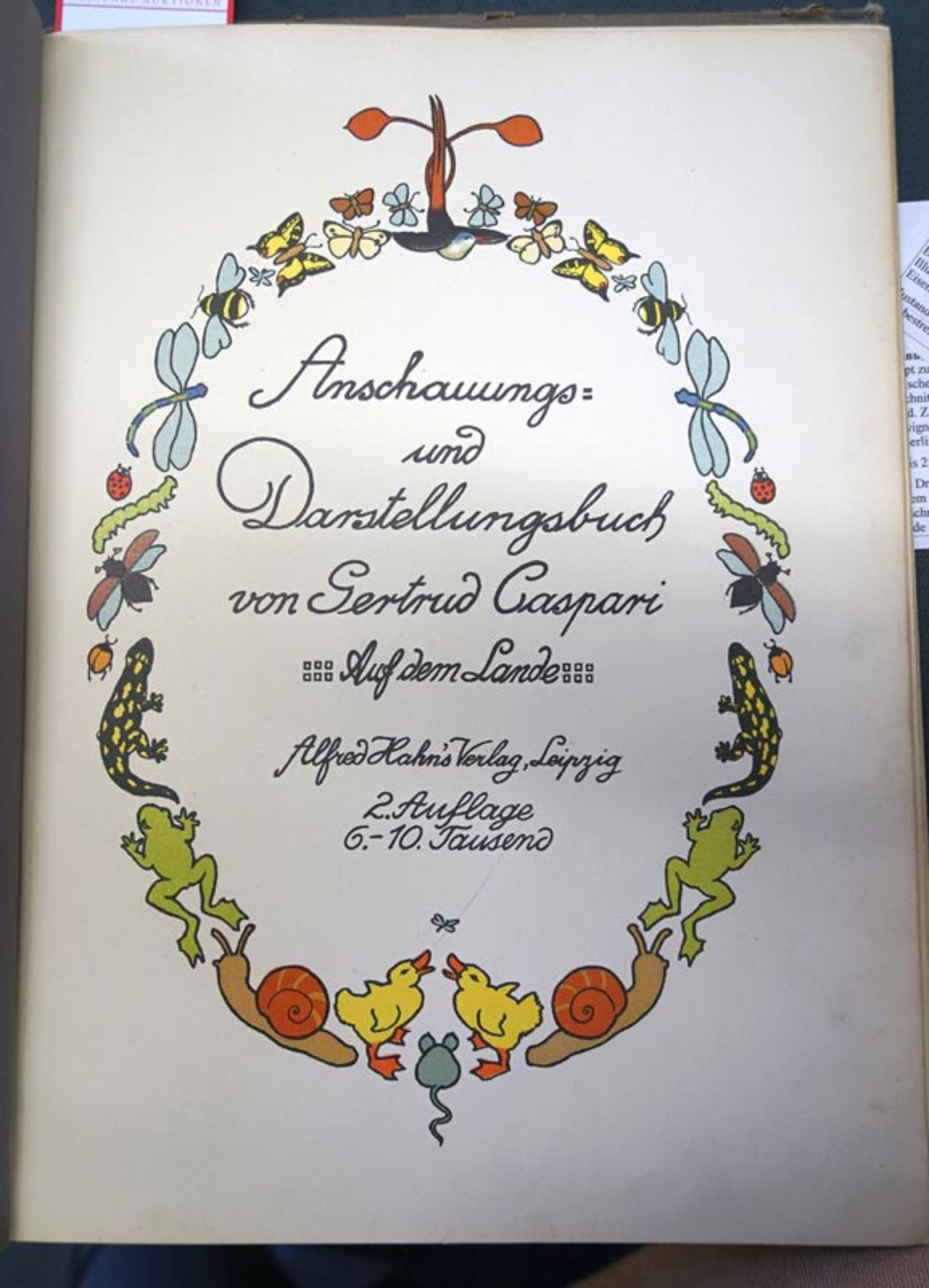 Caspari, Gertrud: Anschauungs- und Darstellungsbuch