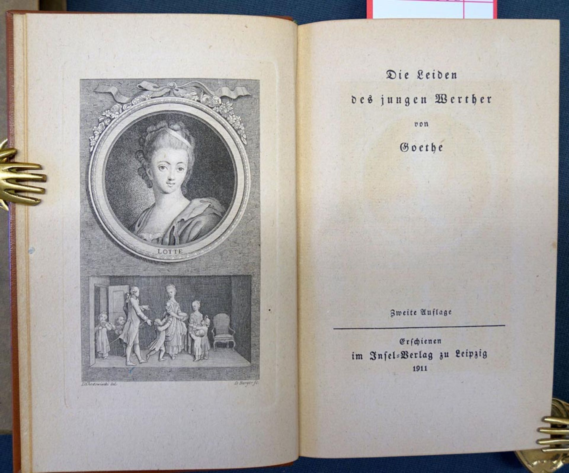 Goethe, Johann Wolfgang von und Insel-Verlag: Die Leiden des jungen Werther