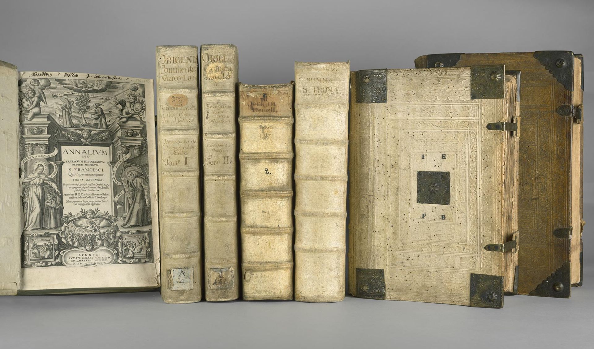 Schweinsledertbibliothek: 19 Werke in 24 Bänden im Folio-Format