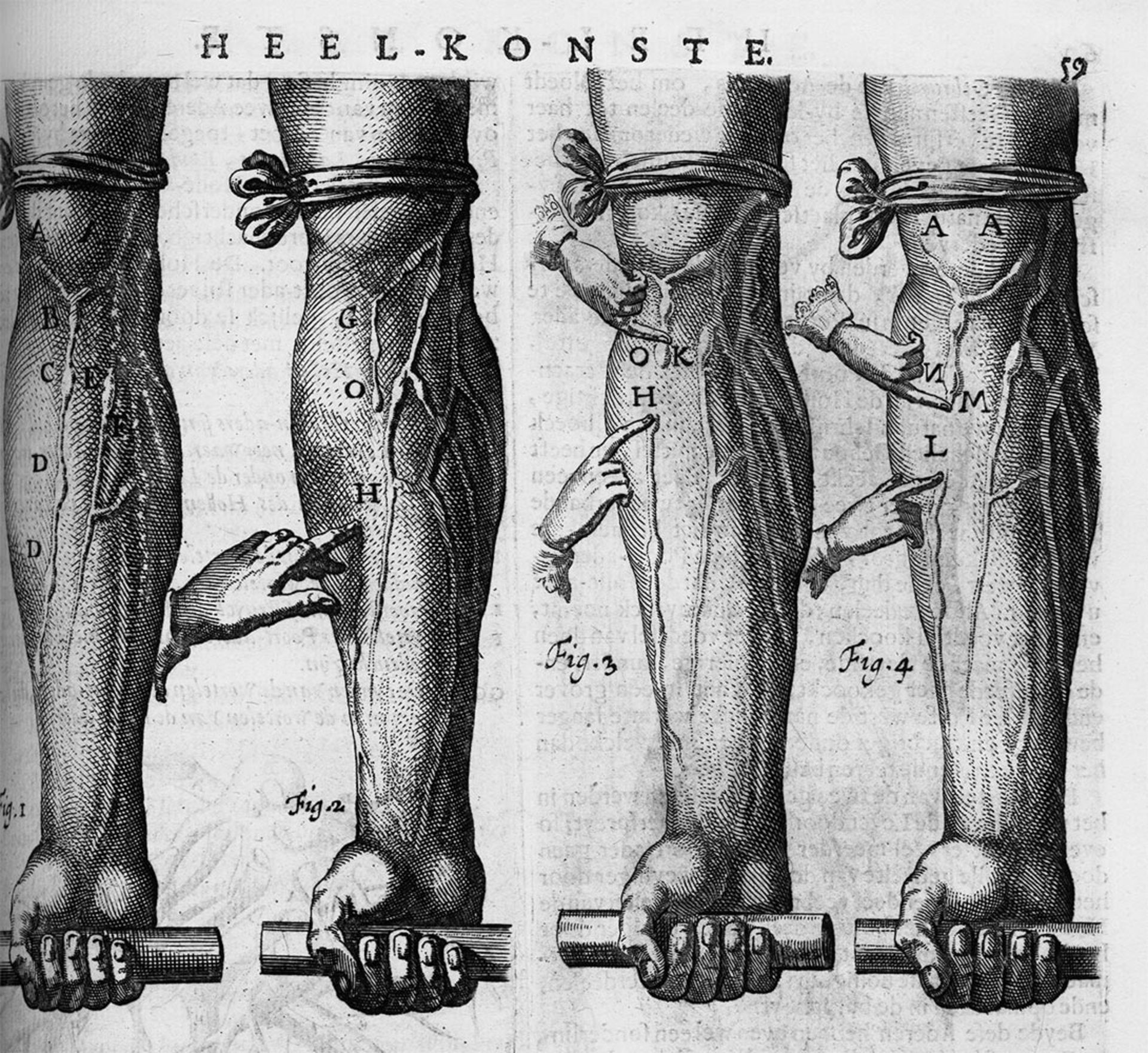 Beverwyck, Jan van: Wercken der genees-konste, bestaende in den schat der gesontheyt, schat der