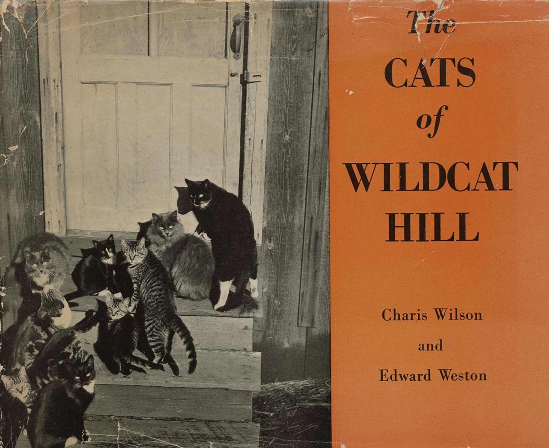 Wilson, Charis und Weston, Edward - Illustr.: The cats of wildcat hill
