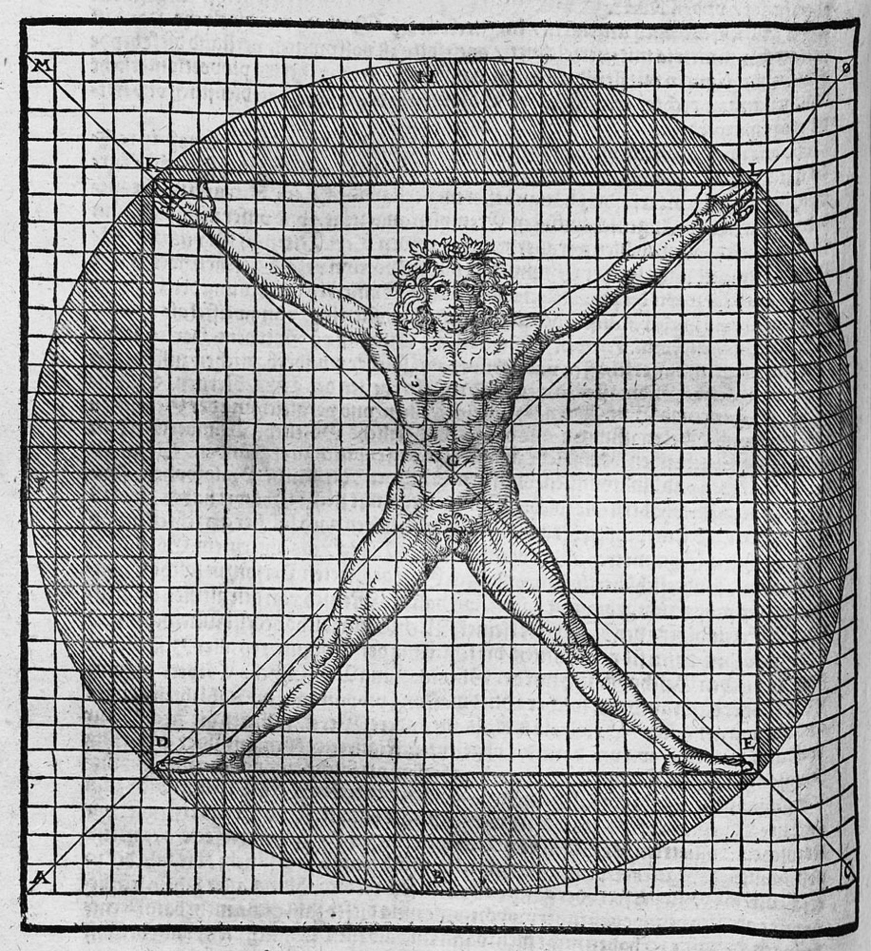 Vitruvius, Pollio Markus: Zehen Bücher von der Architectur