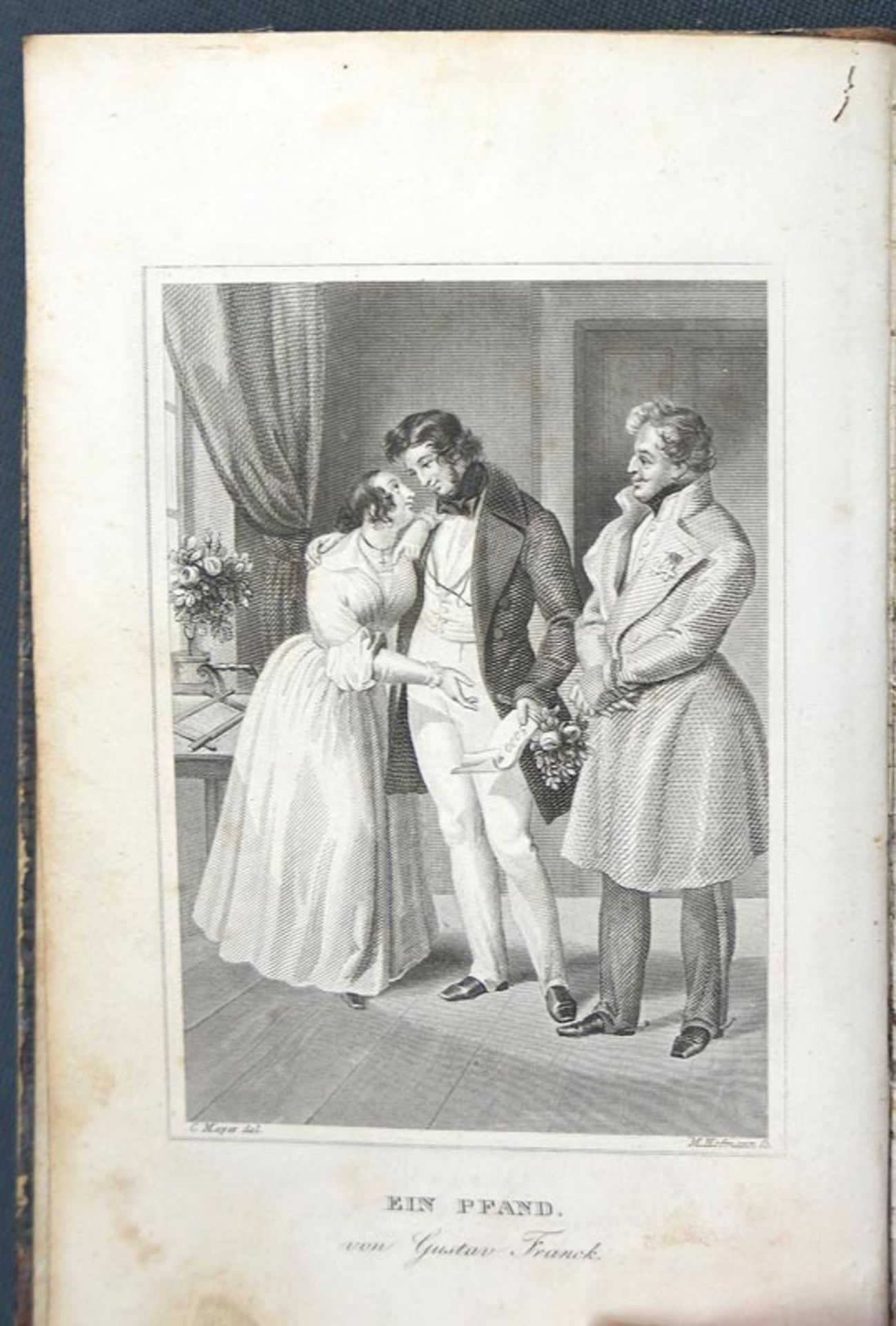 Franck, Gustav von: Mittheilungen aus den Papieren eines Wiener Arztes