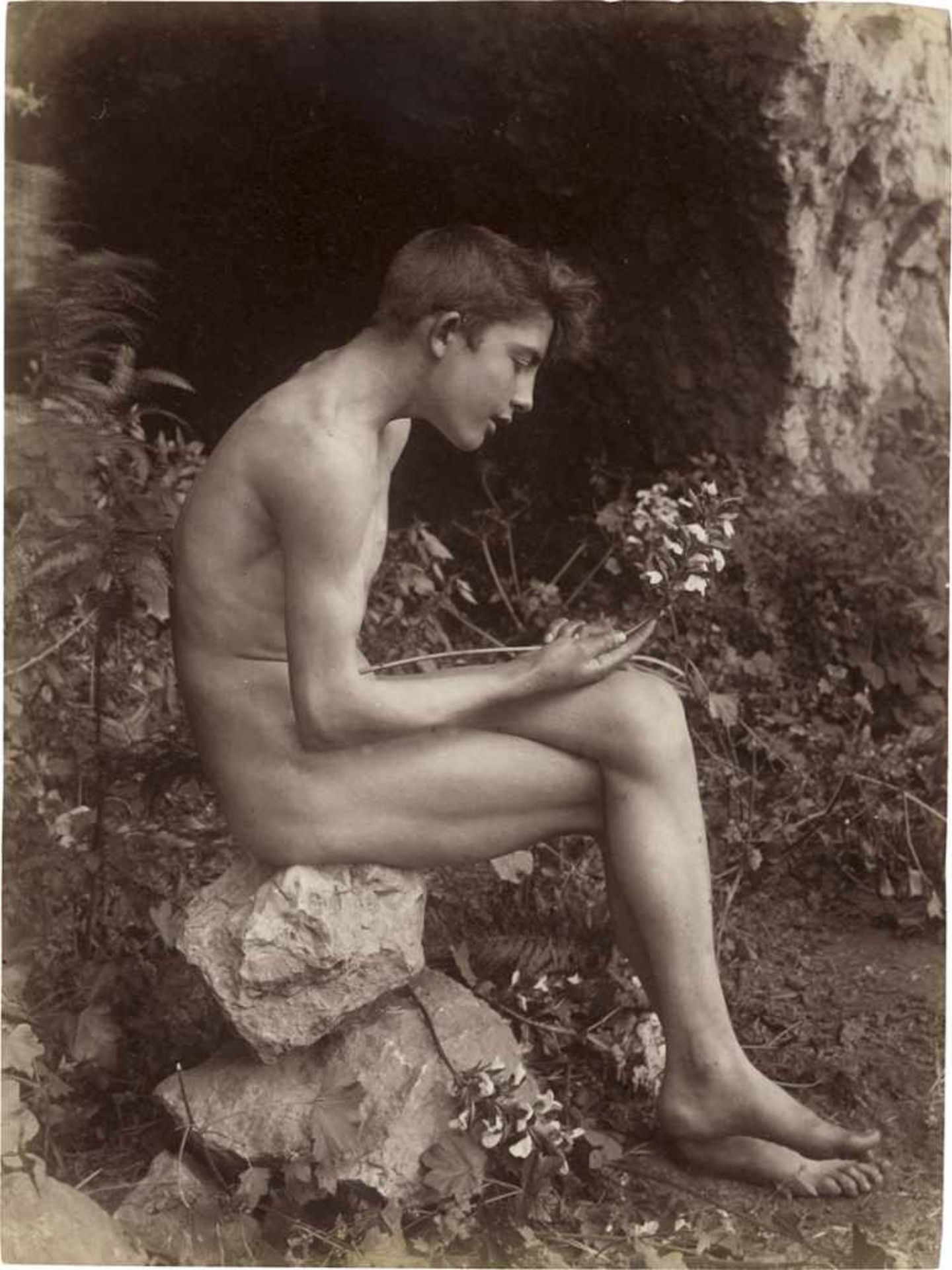 Gloeden, Wilhelm von: Young male nude contemplating flower