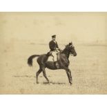 Anschütz, Ottomar: Calvary horses with riders, Graditz