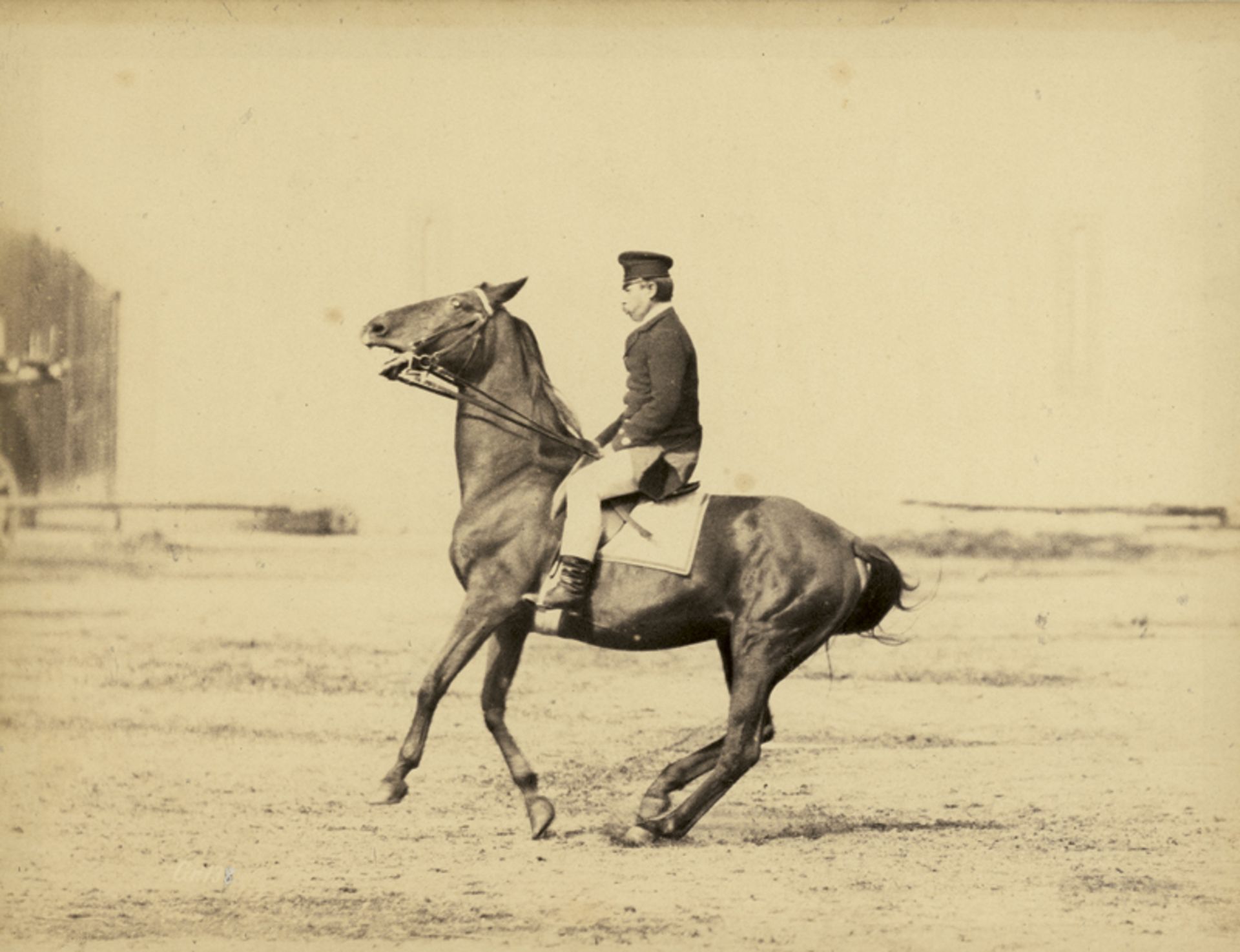 Anschütz, Ottomar: Calvary horses with riders, Graditz - Image 3 of 3