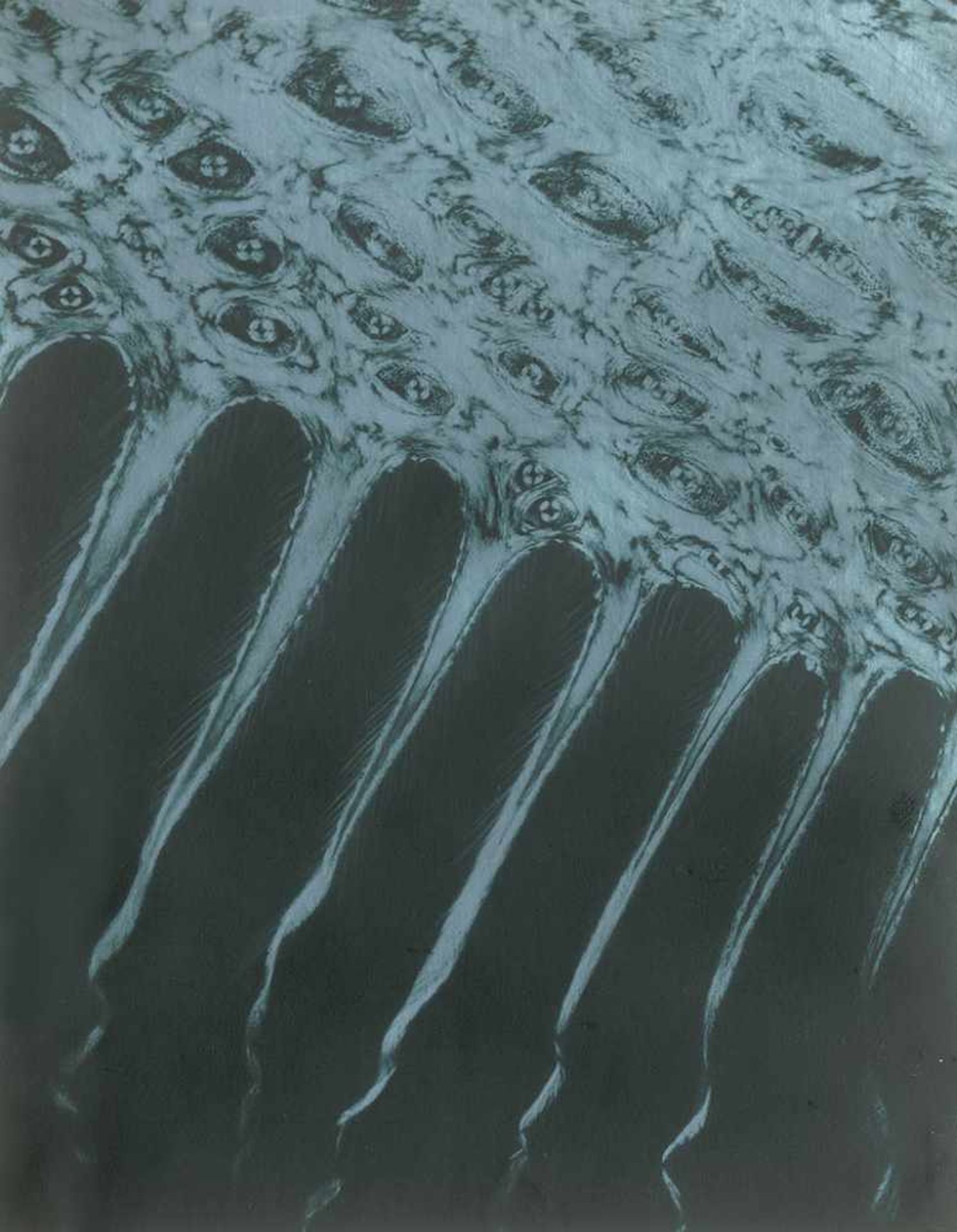 Albin-Guillot, Laure: Micrographie décorative