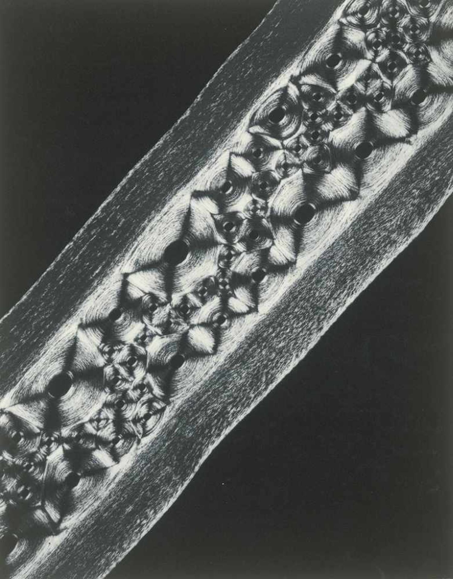Albin-Guillot, Laure: Micrographie décorative - Bild 2 aus 6