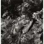 Henle, Fritz: Female nude in ferns