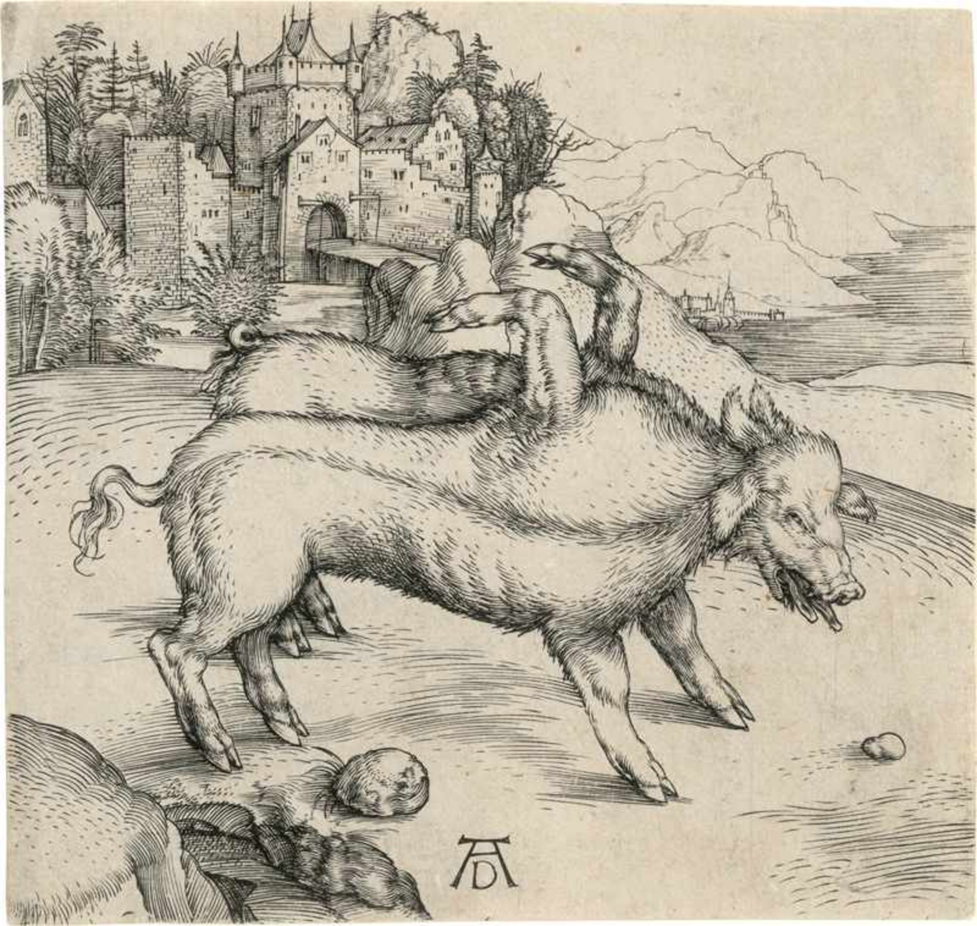 Dürer, Albrecht: Die Mißgeburt eines Schweins