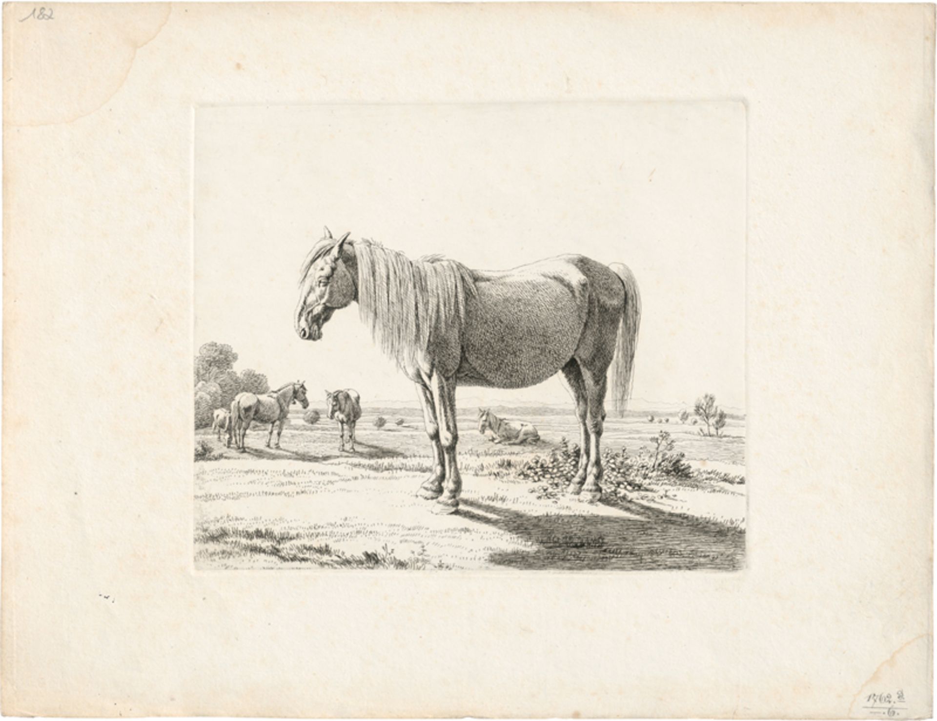 Kobell, Wilhelm von: Pferde auf der Weide