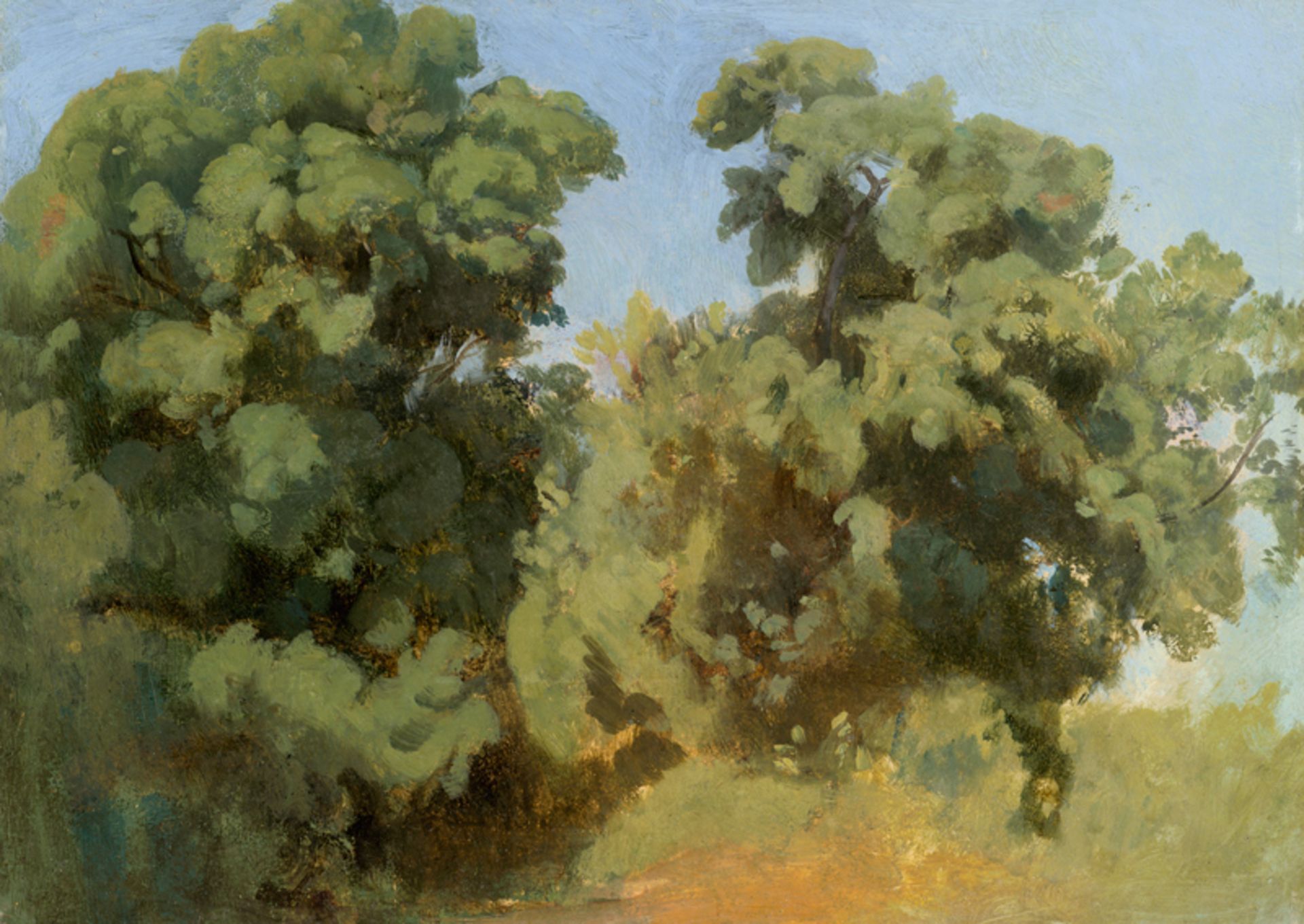 Gibert, Jean-Baptiste Adolphe: Bäume bei Albano