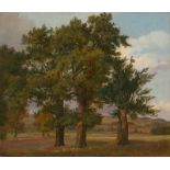 Fearnley, Thomas: Sommerlandschaft mit drei alten Eichen