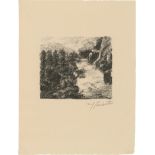 Corinth, Lovis: Wildbach