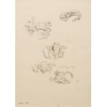 * Frank Brangwyn [1867-1956]- Studies of a frog, 1923,:- signed with a monogram,