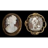 A large oval shell carved portrait cameo brooch within a gilt frame,