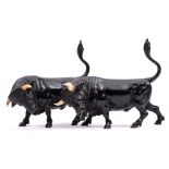 A pair of late 19th Century Viennese cold painted bronze and ivory models of confronting bulls: one