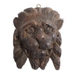 A late 15th/early 16th Century carved walnut lion mask wall applique,: 21cm high.