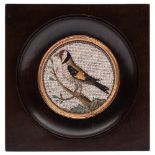 A late 18th Century Italian Grand Tour circular micro-mosaic of a goldfinch: attributed to Giacomo