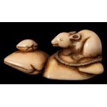 A Japanese carved ivory netsuke: in the form of a rat seated amongst shells, Meiji period, 5 cm.