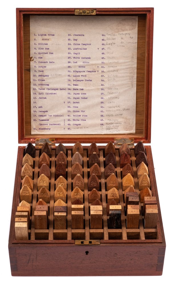 A collection of sixty seven Philippine timber samples: contained in a fitted case dated 1911,