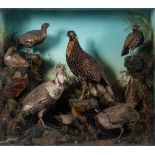 A late 19th century cased taxidermy group of game birds by Ward & Co, London:, naturally set,