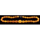 A graduated amber bead single-string necklace: with 31 oblong beads graduating from 11mm long to