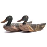 A pair of softwood and polychrome decorated decoy mallard ducks: each 56cm. long.