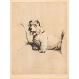 Cecil Aldin [1870-1935]- Terrier in a chair,:- etching,