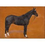 * Frances Mabel Hollams [1877-1963]- Bay horse, 'Sunday',:- signed and dated 1931 oil on board,