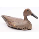A 19th Century carved wood and polychrome decorated Gadwall decoy duck: overall length 31cm.