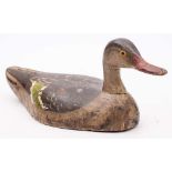 A carved wood and polychrome decorated decoy duck: possibly a Teal, overall length 35cm. long.