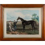 J Harris & C Quintrey after Harry Hall [19th Century]- Wild Dayrell; Voltigeur,