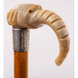 An Edwardian carved horn elephant head walking cane: inset glass eyes (one missing) on a Malacca