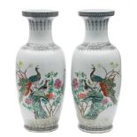 A pair of large Chinese famille rose 'Peacock' vases: of baluster form,