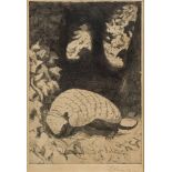 * Zdzislaw Ruszkowski [1907-1990]- Armadillo, etching,:- signed in pencil image size 20 x 13.5cm.