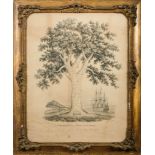 'Genealogical Tree of British Naval Victors': monochrome engraving after James Egan,