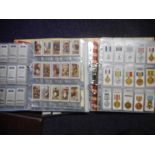 Players sets of cigarette cards: Butterflies 50/50, Curious beaks 50/50,